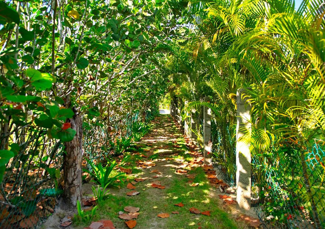 Chaykovski Boutique H Las Terrenas Exterior foto